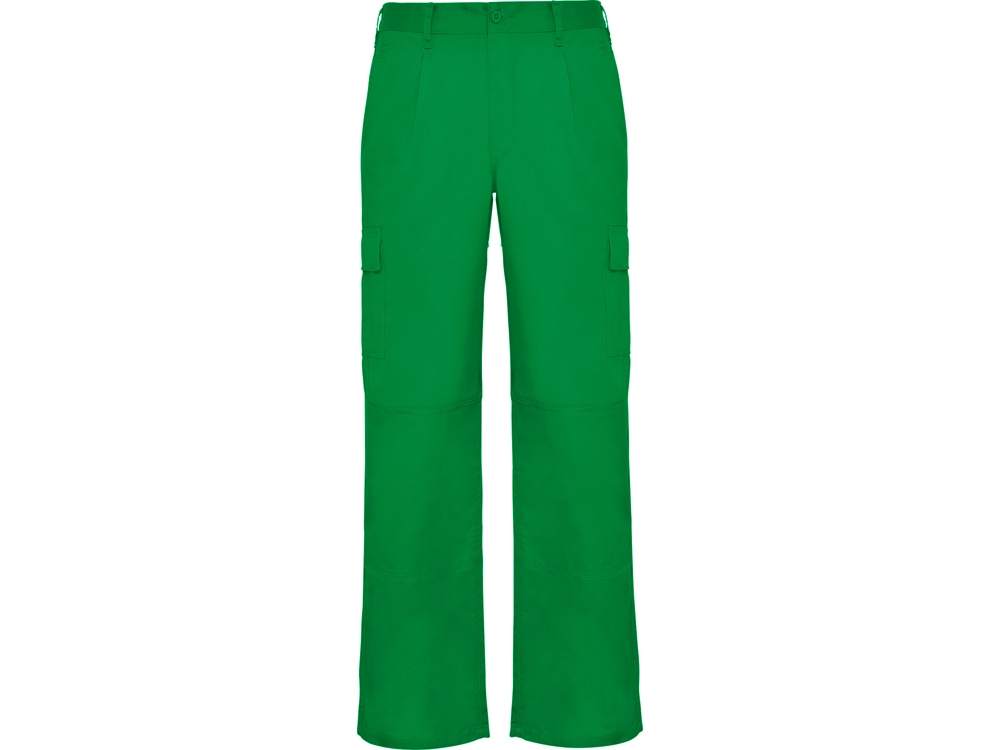 Брюки Daily, мужские с логотипом Roly | Print Logo