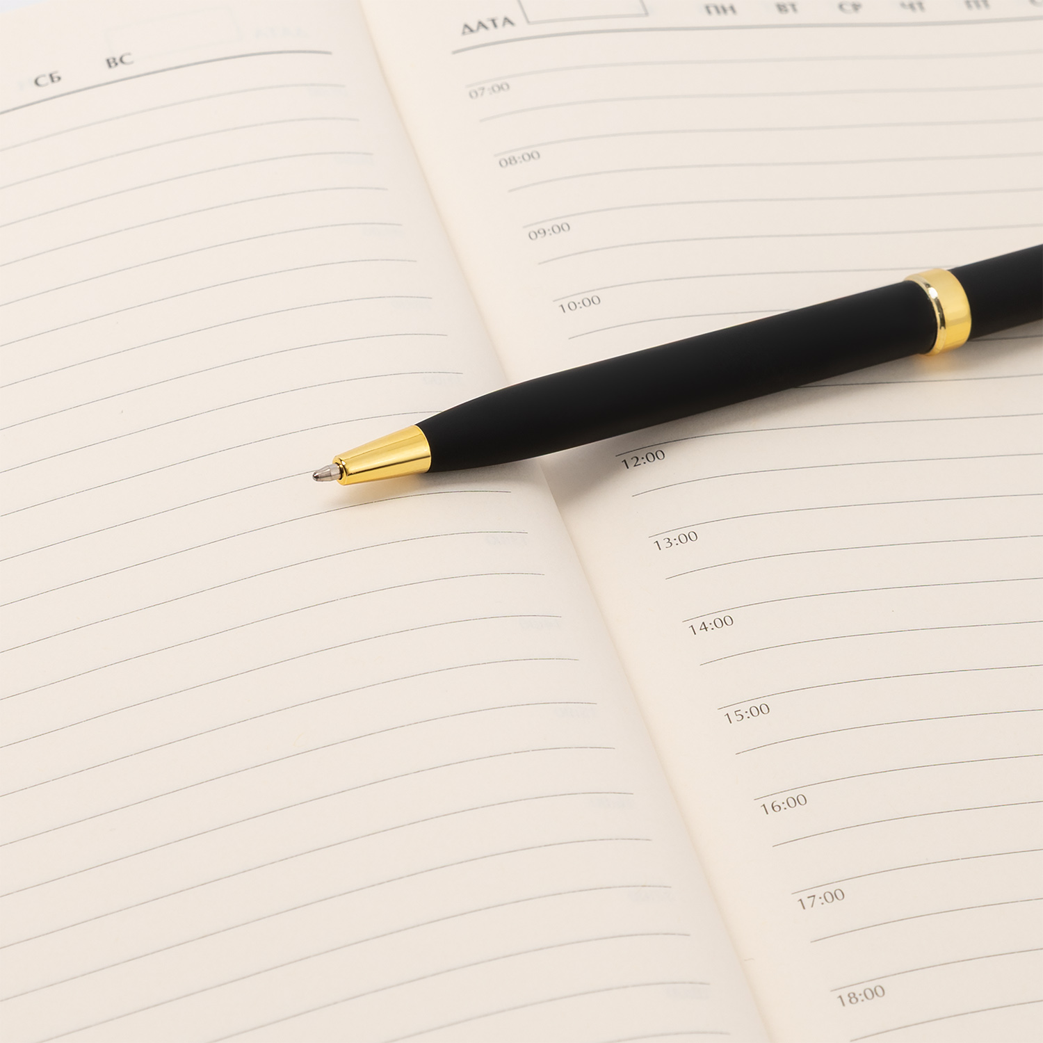 Шариковая ручка Бенуа (Benua), черная/позолота