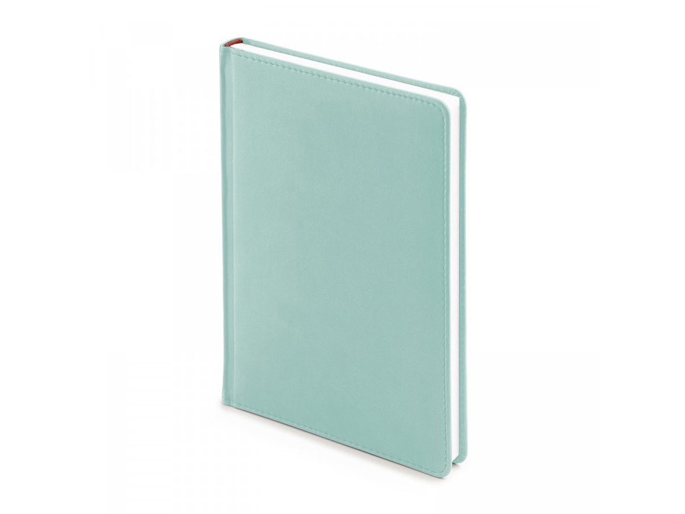 Ежедневник недатированный А5 Velvet с логотипом Bruno Visconti | Print Logo