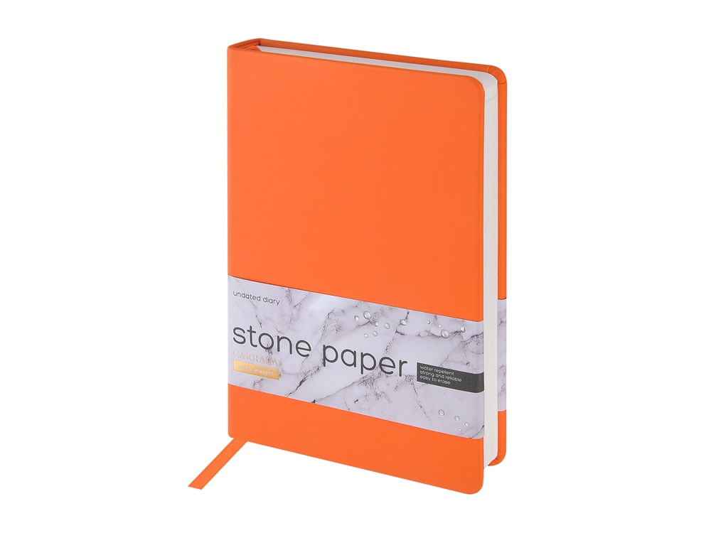 Ежедневник недатированный А5 Carrara с логотипом Bruno Visconti | Print Logo