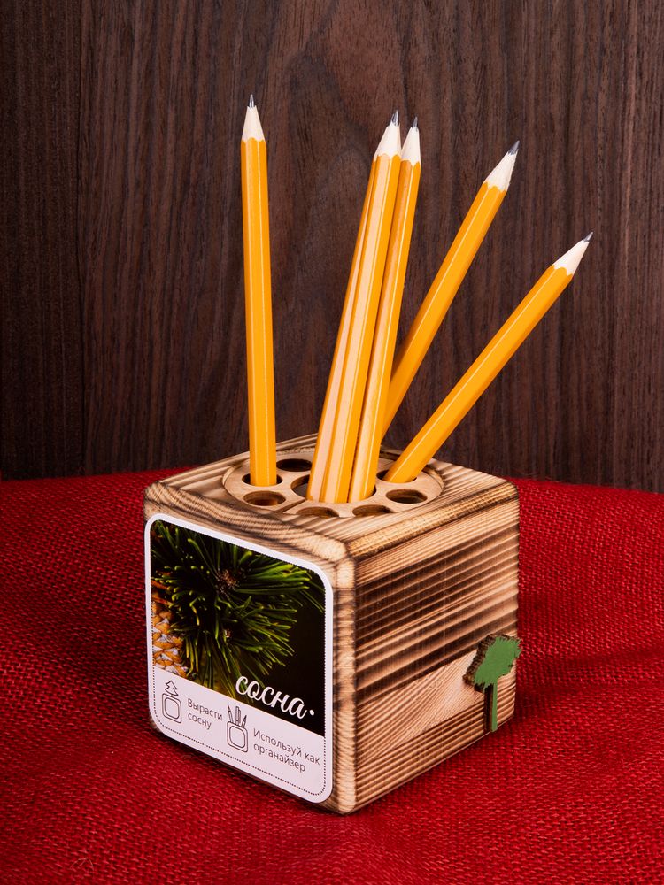 Набор для выращивания с органайзером «Экокуб Burn»