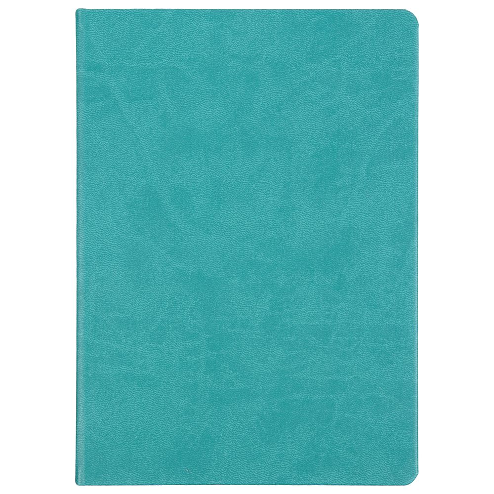 Ежедневник Basis, датированный