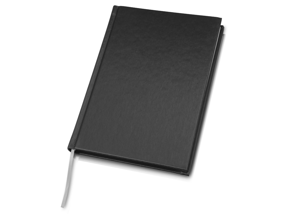 Ежедневник недатированный А5 Probe AR фото на сайте Print Logo.