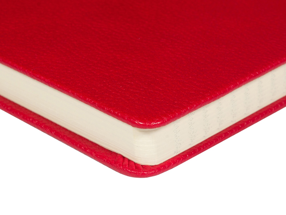 Ежедневник А5 датированный Megapolis Loft на 2026, красный