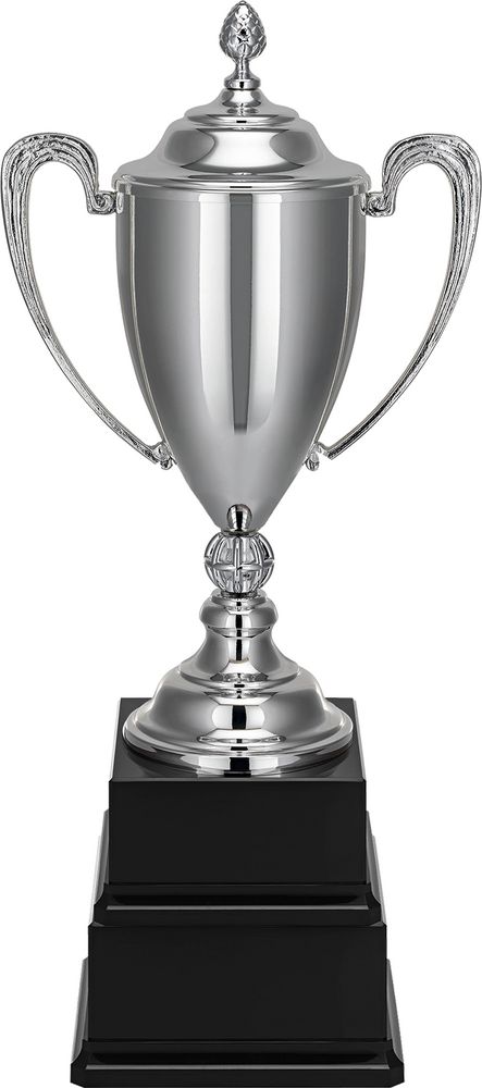 Кубок Grandee — пример нанесения логотипа () | Print Logo