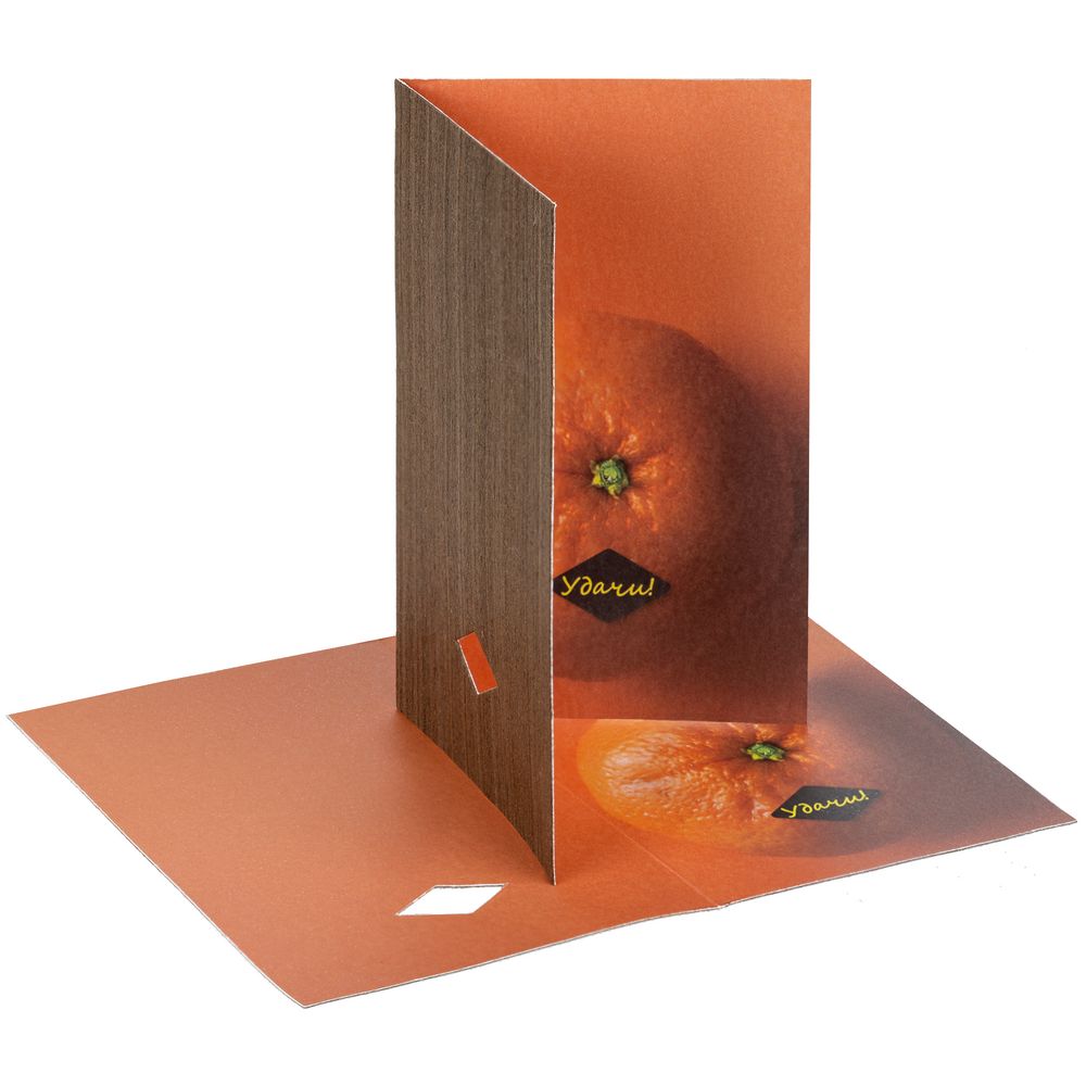 Набор Tangerine Dream — пример нанесения логотипа () | Print Logo