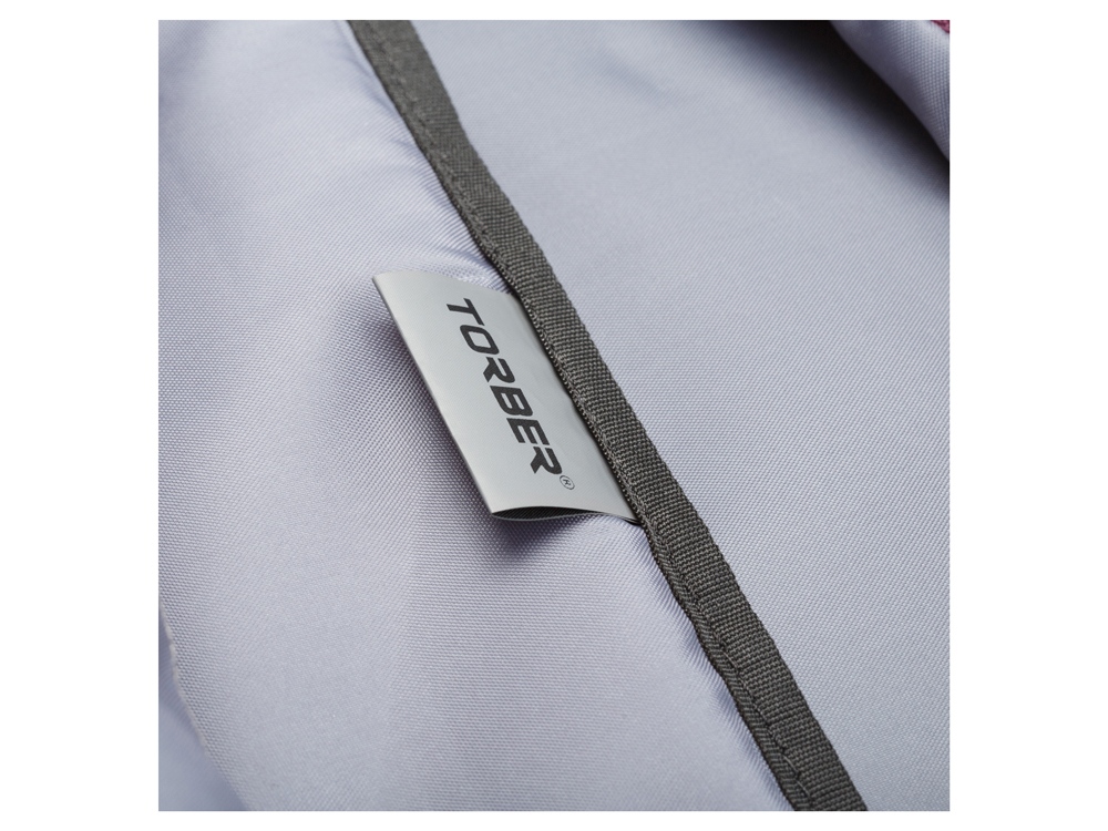 Рюкзак TORBER МЕГАПОЛИС с отделением для ноутбука 15, пурпурный, полиэстер, 46 х 32 x 13 см