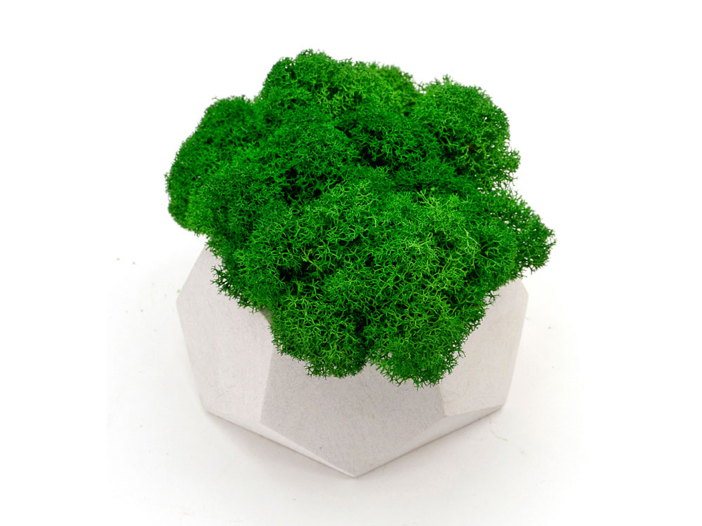 Кашпо бетонное со мхом (альфа-циркон мох зеленый), QRONA