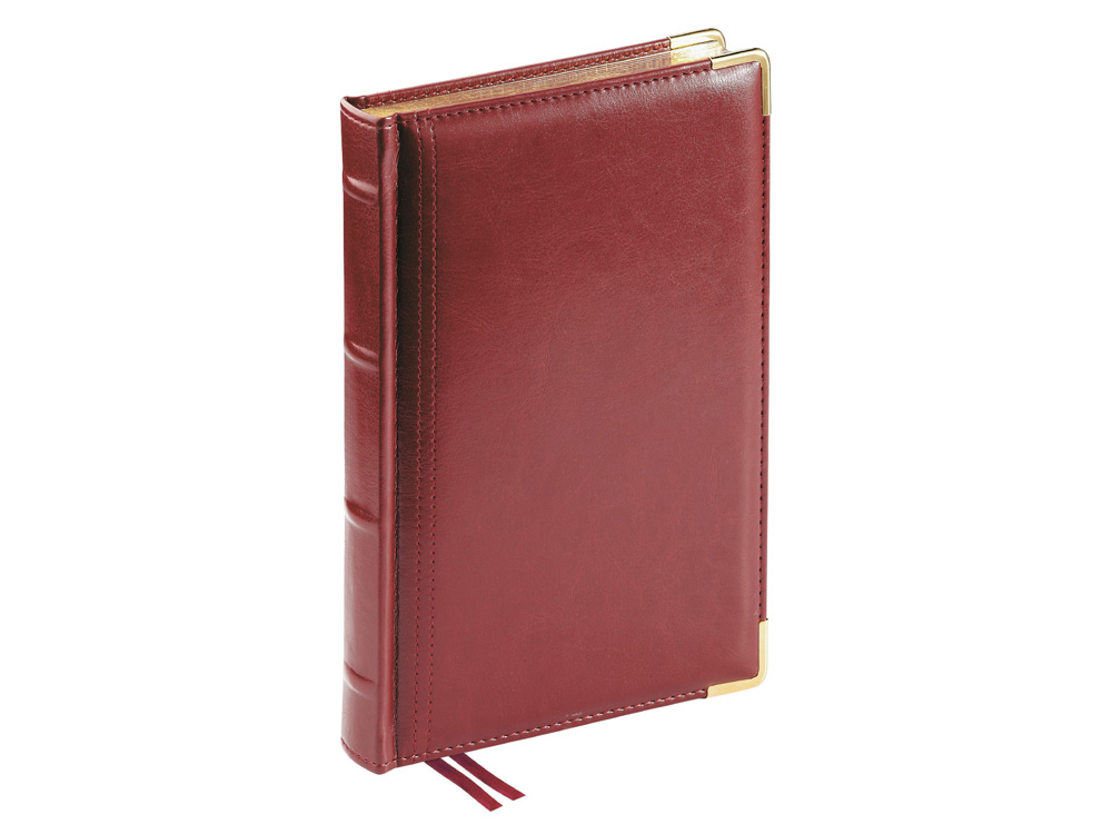 Ежедневник полудатированный А5 Boss с логотипом Bruno Visconti | Print Logo