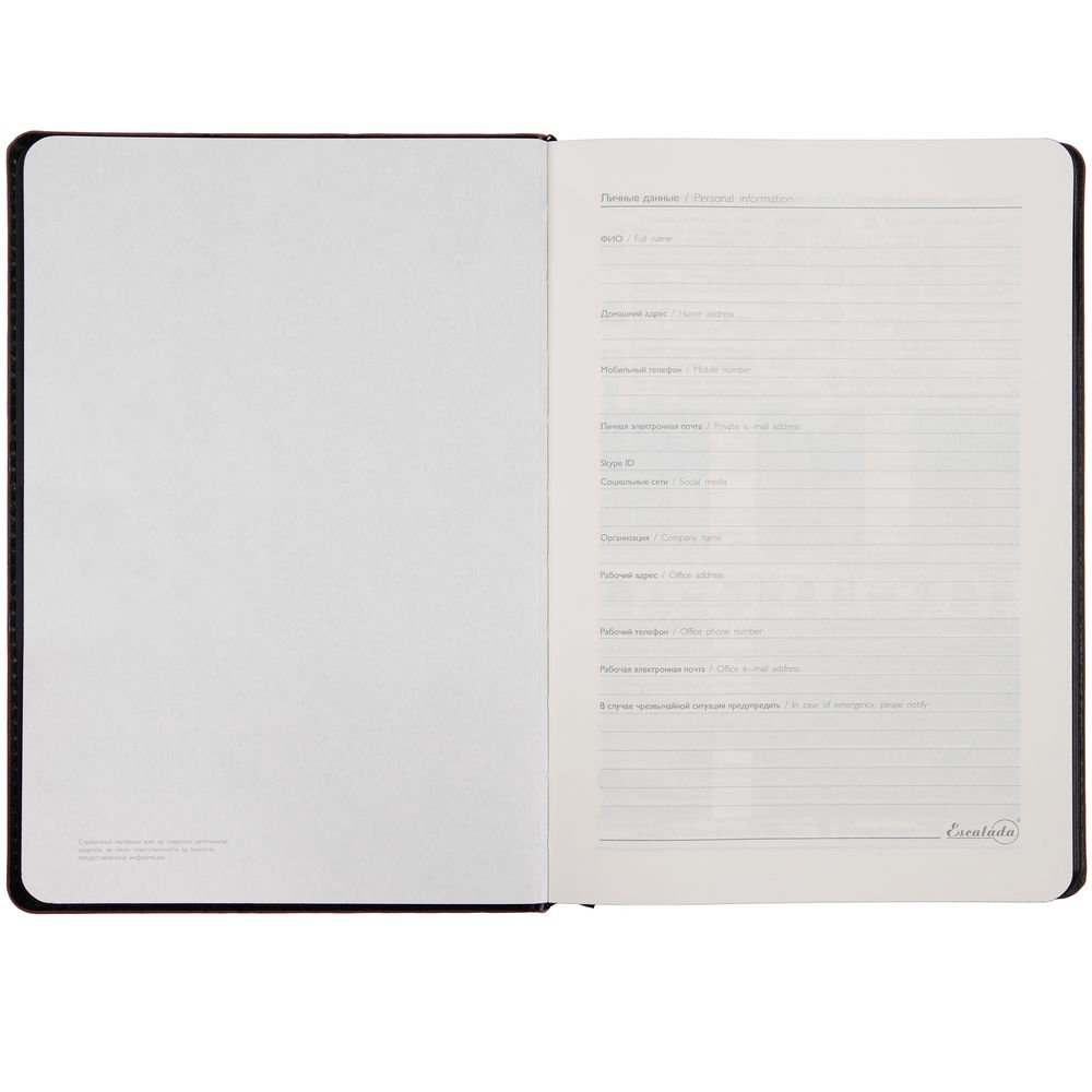 Ежедневник Alanis, недатированный