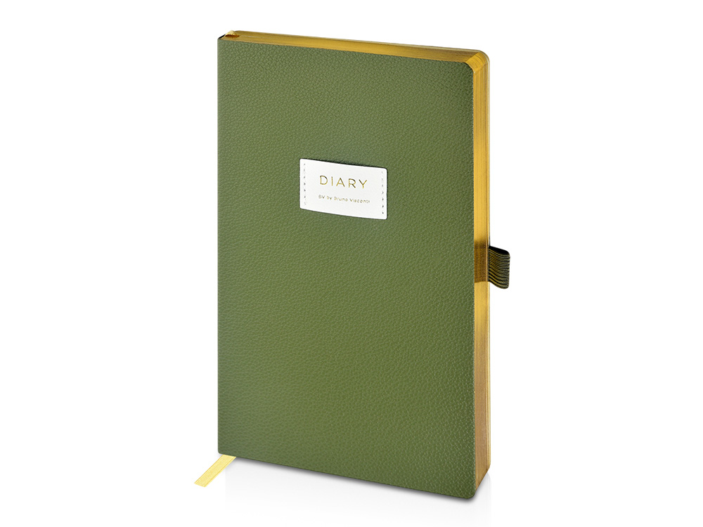 Ежедневник недатированный А5 Verde с логотипом Bruno Visconti | Print Logo