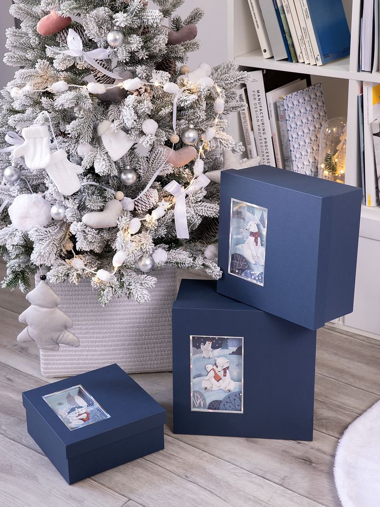 Коробка The Blue Bear — пример нанесения логотипа () | Print Logo