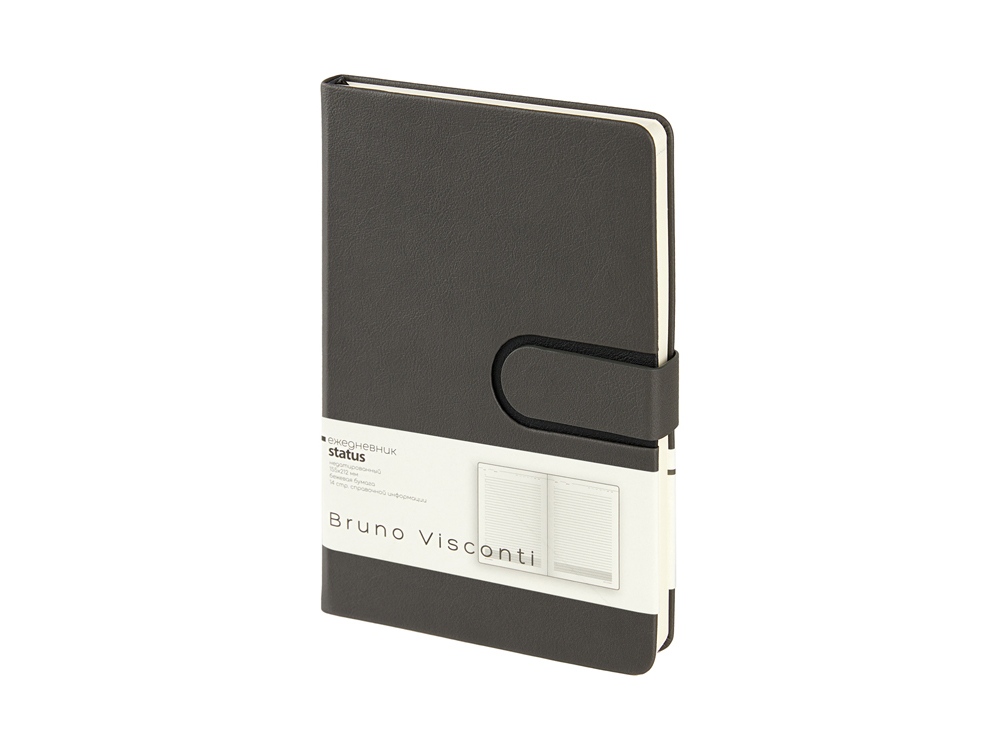 Ежедневник недатированный А5 Status с логотипом Bruno Visconti | Print Logo
