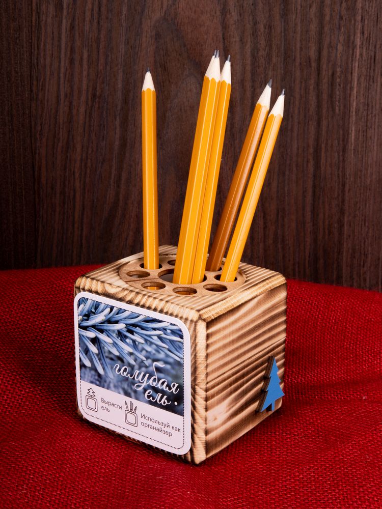 Набор для выращивания с органайзером «Экокуб Burn»