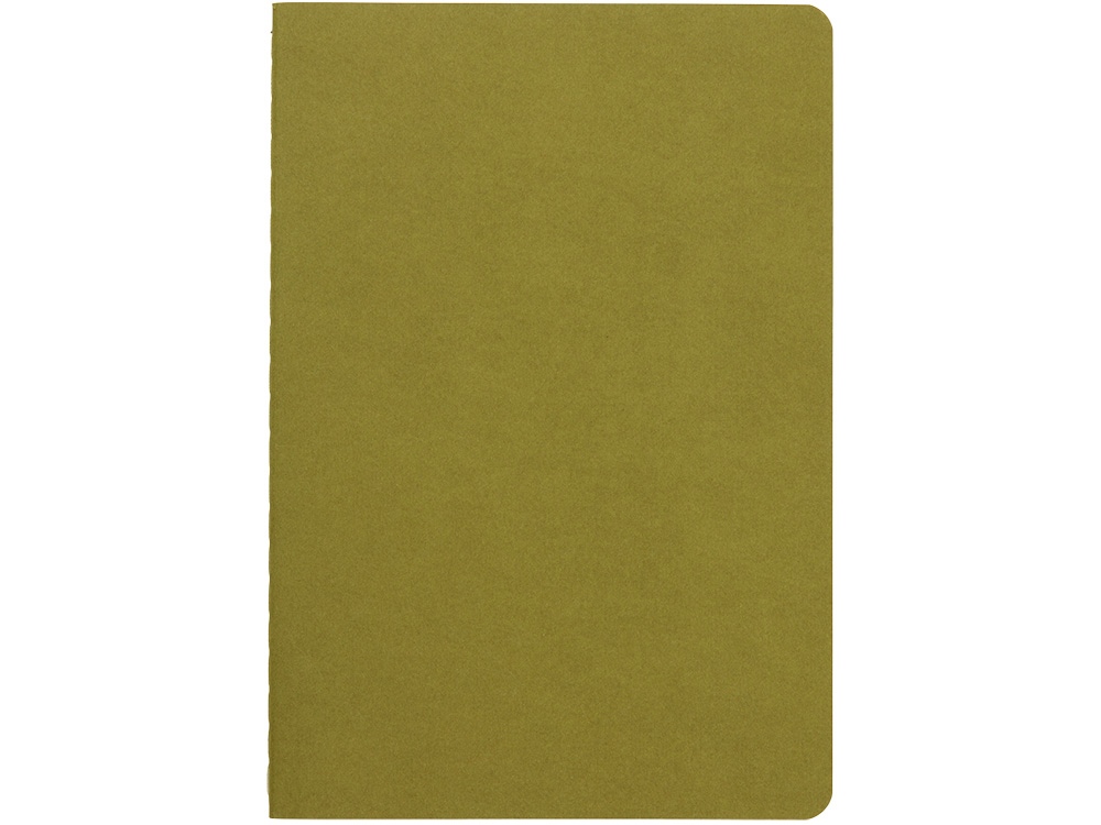 Бизнес тетрадь А5 Pragmatic, 40 листов в клетку, зеленый хаки