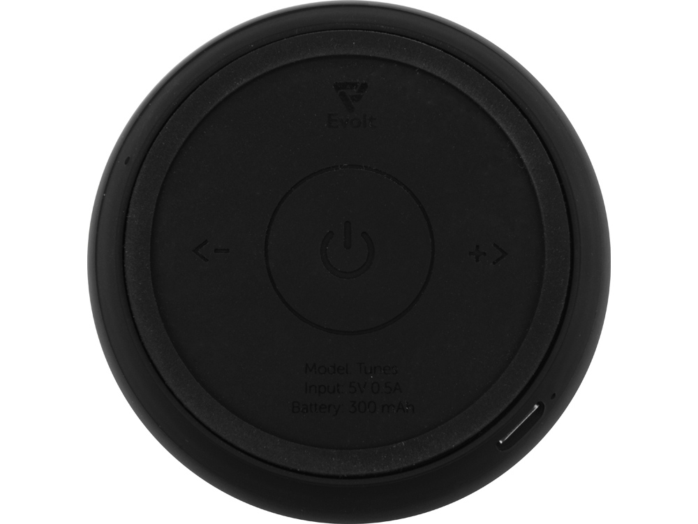 Портативные стереоколонки Tunes Evolt