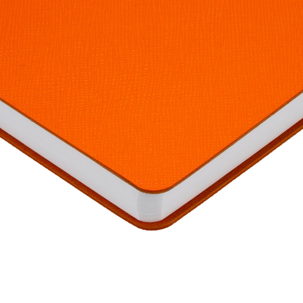 Ежедневник Flexpen Bright, недатированный фото на сайте Print Logo.