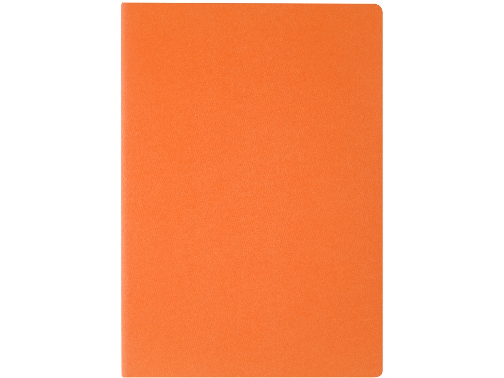 Бизнес-тетрадь А4 Pragmatic,  40л., клетка, оранжевый