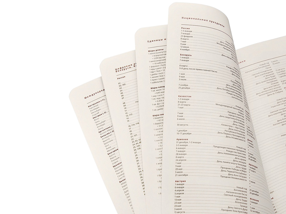 Ежедневник недатированный А5 Parliament, темно-серый