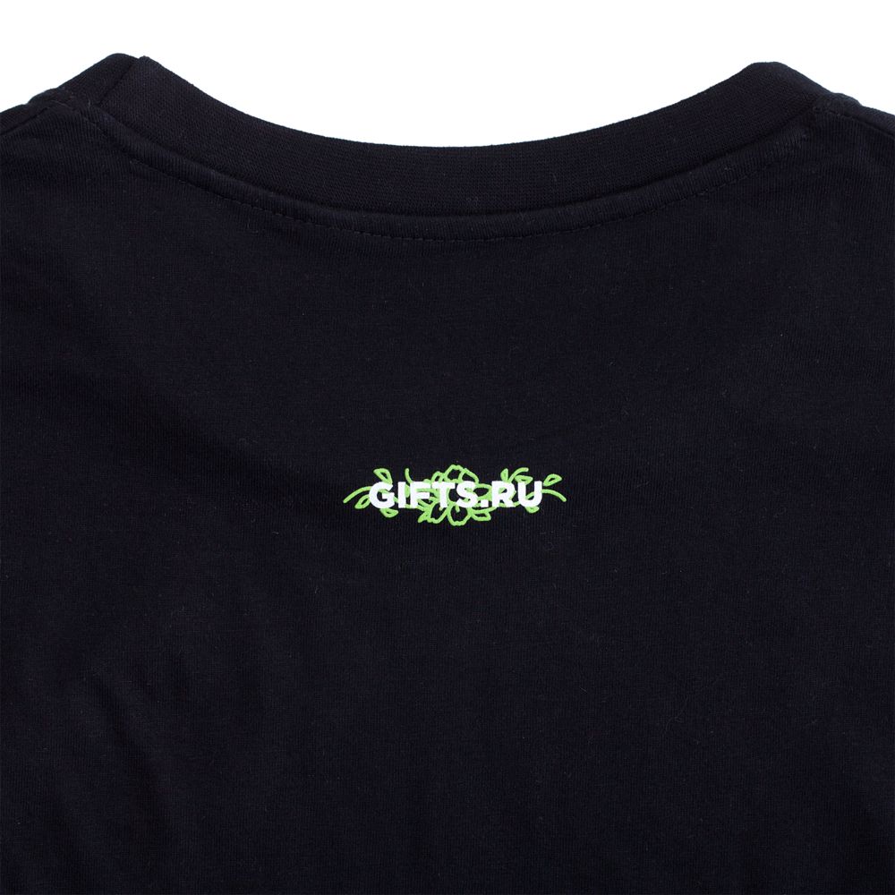 Футболка мужская Regent Fit 150 фото на сайте Print Logo.