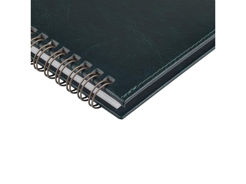 Планинг ГР. датированный Sidney Nebraska 2026, зеленый