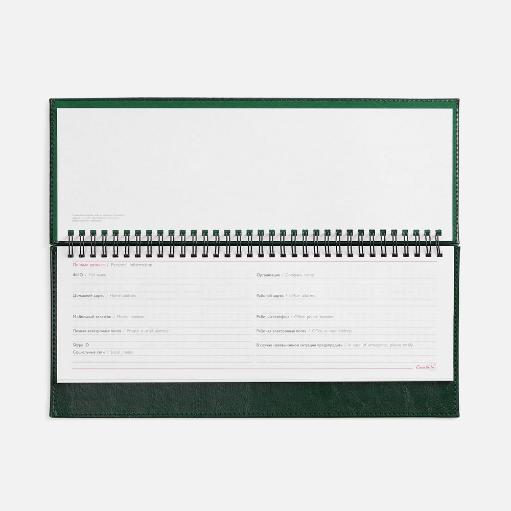 Планинг Faro, датированный