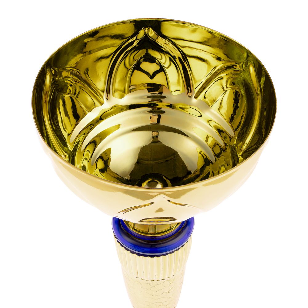 Кубок Awardee, средний — пример нанесения логотипа () | Print Logo