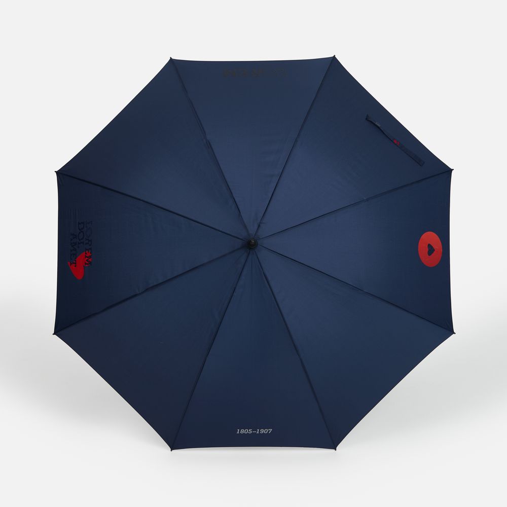 Зонт-трость Rainzee