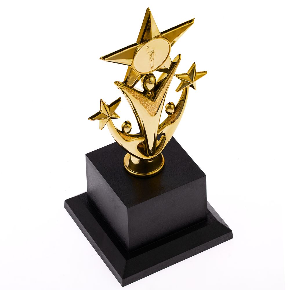 Стела Asterism — пример нанесения логотипа () | Print Logo