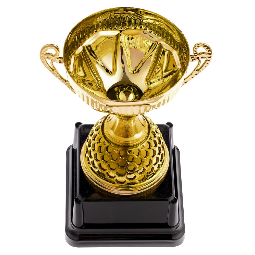 Кубок Meritus, малый — пример нанесения логотипа () | Print Logo