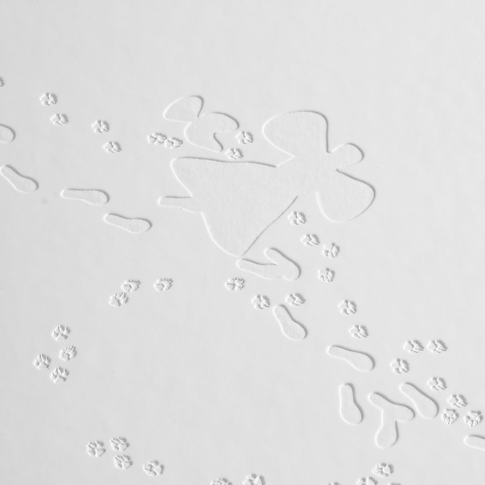 Набор «Снежный ангел» — пример нанесения логотипа () | Print Logo