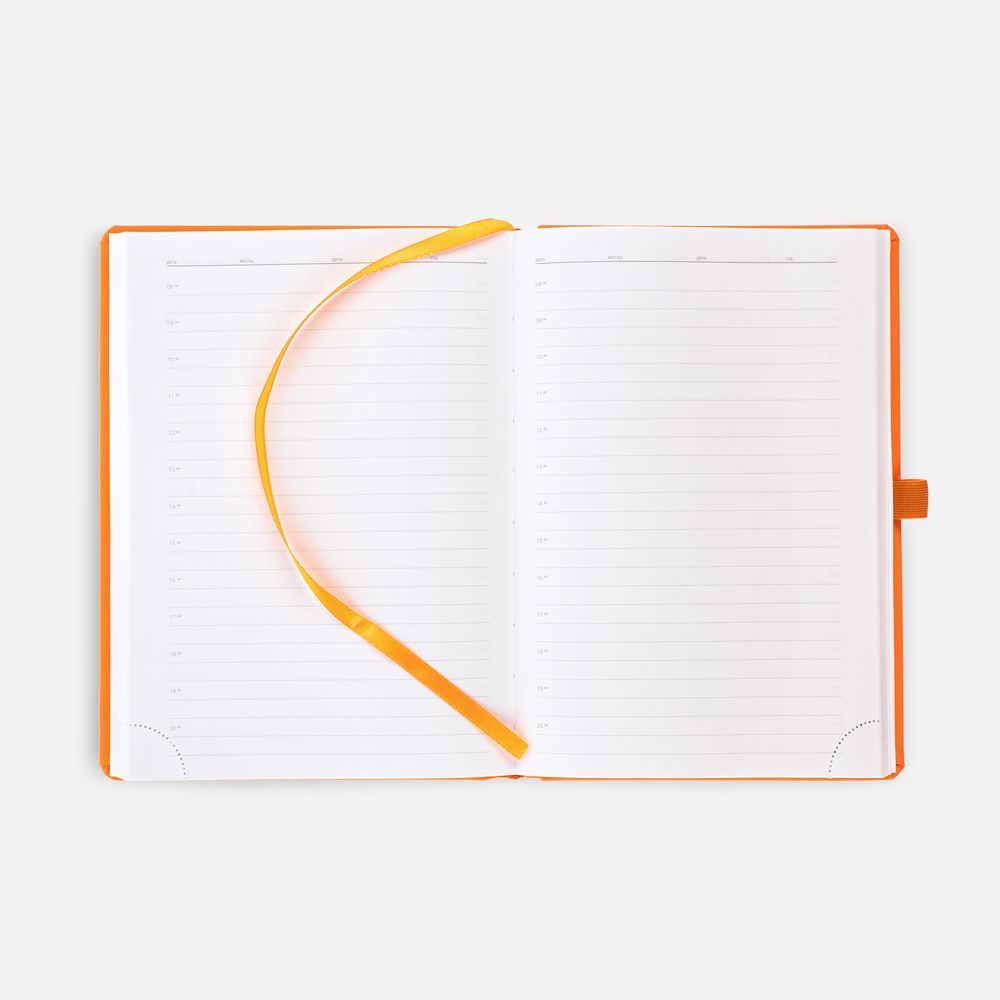 Ежедневник Favor Gold, недатированный