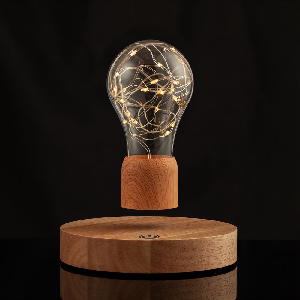 Левитирующая лампа FireFly Lights фото на сайте Print Logo.