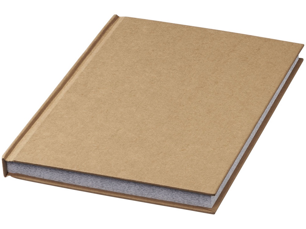 Блокнот А5 Fiddle adult с логотипом  | Print Logo