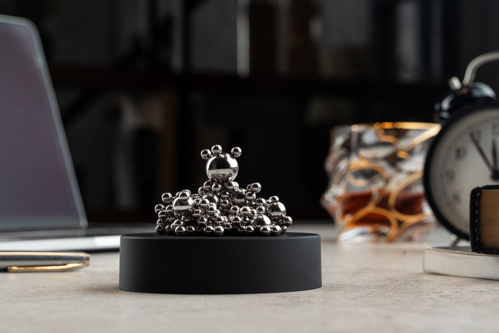 Магнитный антистресс Everie фото на сайте Print Logo.