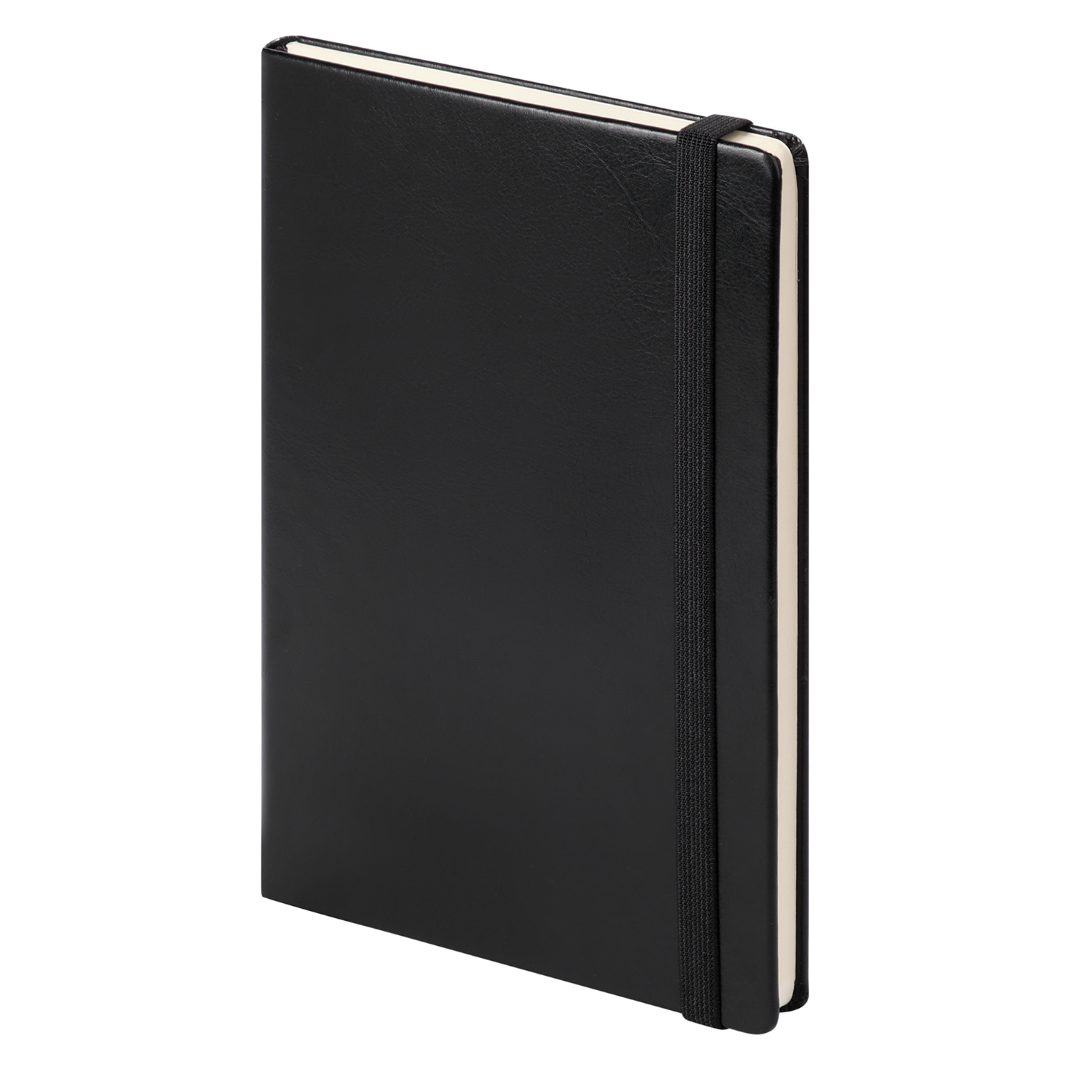 Ежедневник Birmingham Btobook недатированный, черный (без упаковки, без стикера) фото на сайте Print Logo.