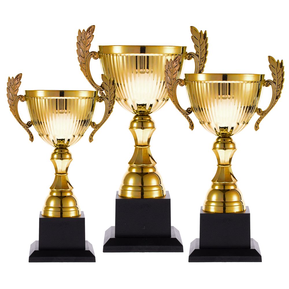 Кубок Spica, средний — пример нанесения логотипа () | Print Logo