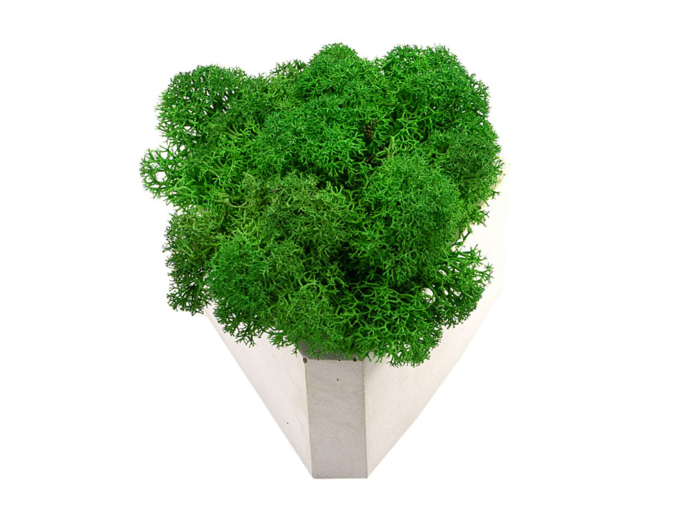 Кашпо бетонное со мхом (гама-маренго мох зеленый), QRONA