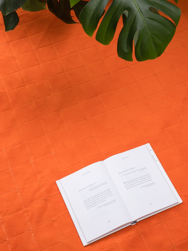 Плед для пикника Soft & Dry 2