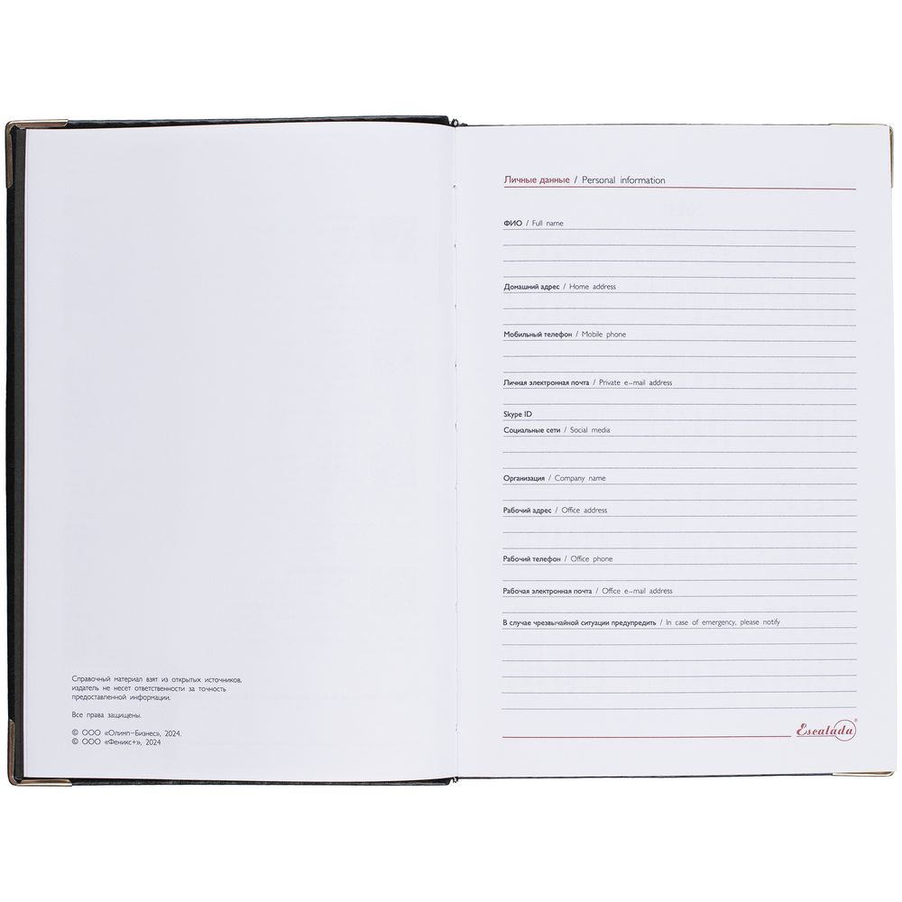 Ежедневник Lugo, датированный