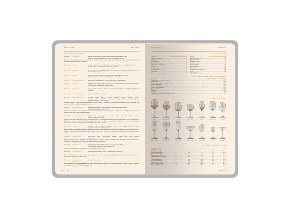 Ежедневник А5 датированный Boston 2027, коричневый с салатовым обрезом