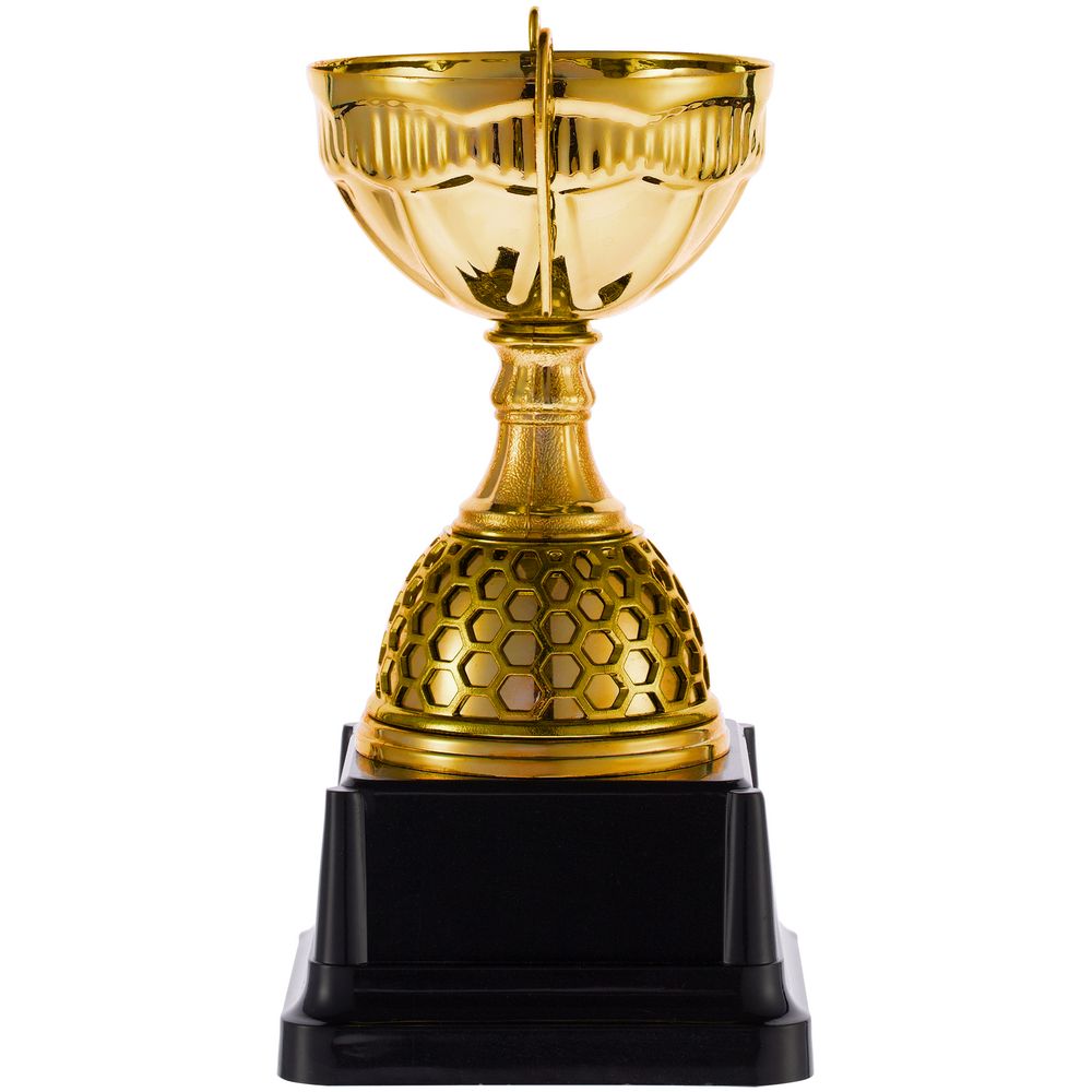 Кубок Meritus, малый — пример нанесения логотипа () | Print Logo