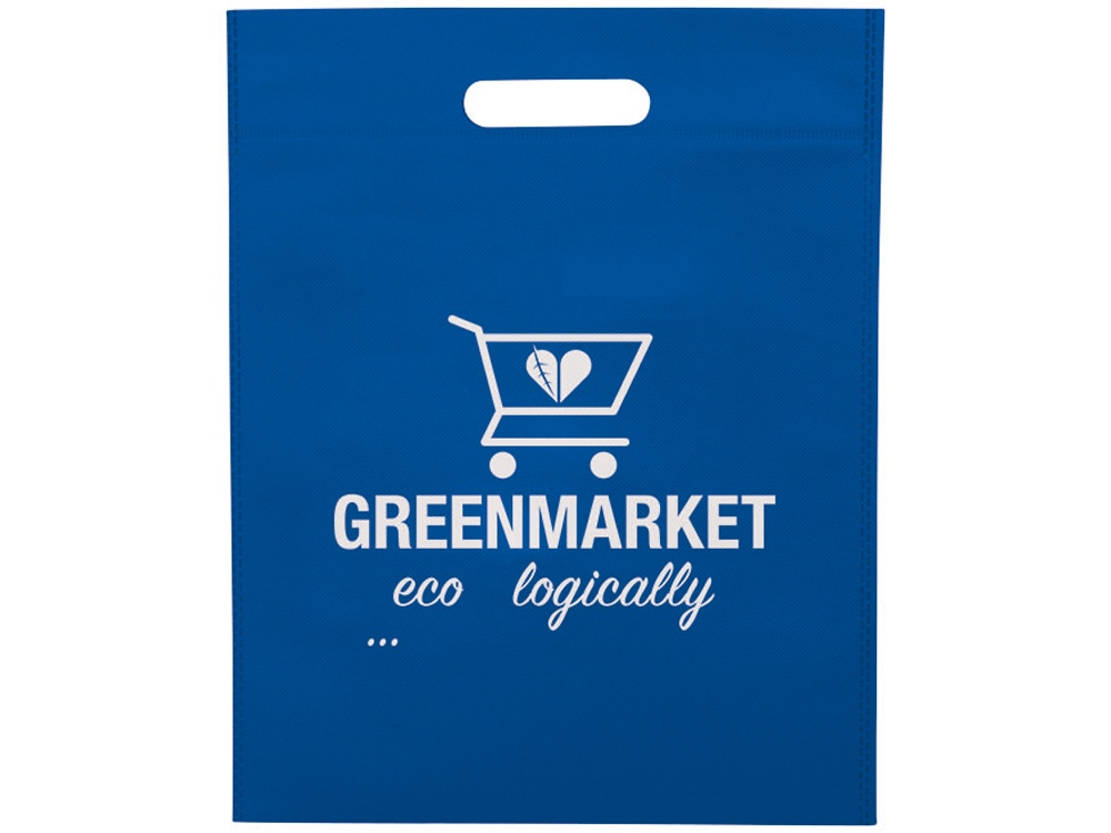 Большая просторная нетканая сумка-тоут для конференций