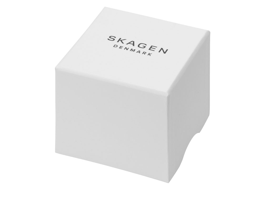 Подарочный набор: часы наручные женские, браслет. Skagen