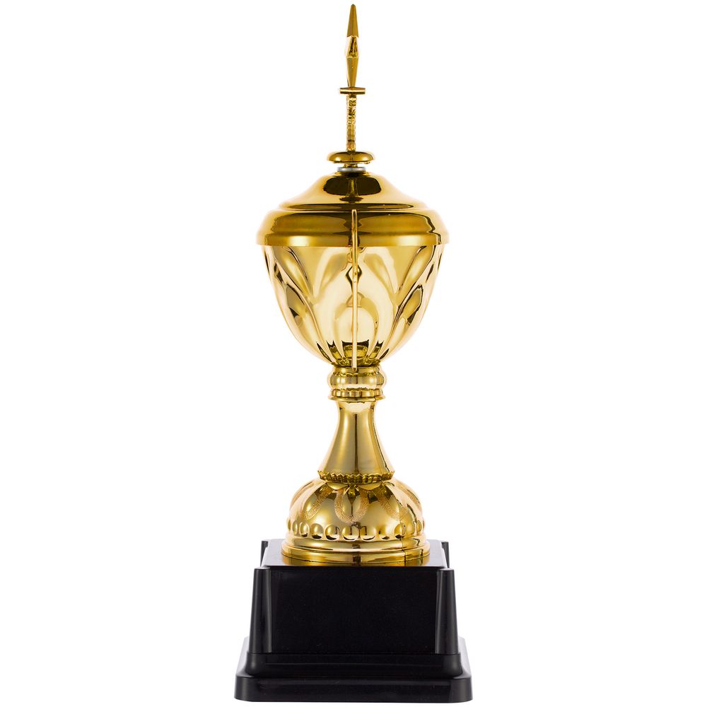 Кубок Top Star — пример нанесения логотипа () | Print Logo