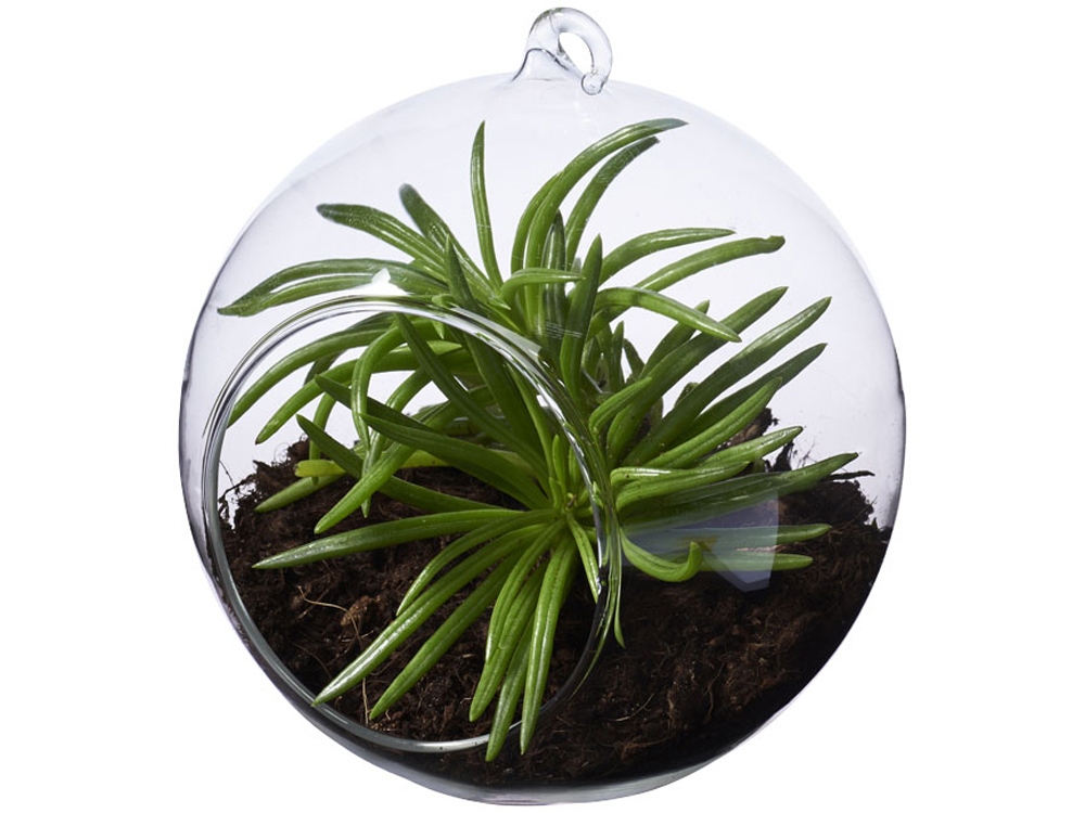 Террариум Sphere с логотипом Seasons | Print Logo