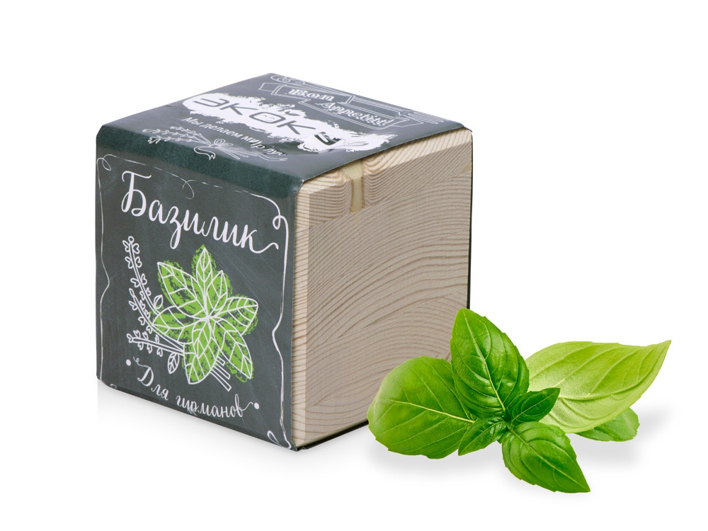 Набор для выращивания Базилик с логотипом  | Print Logo