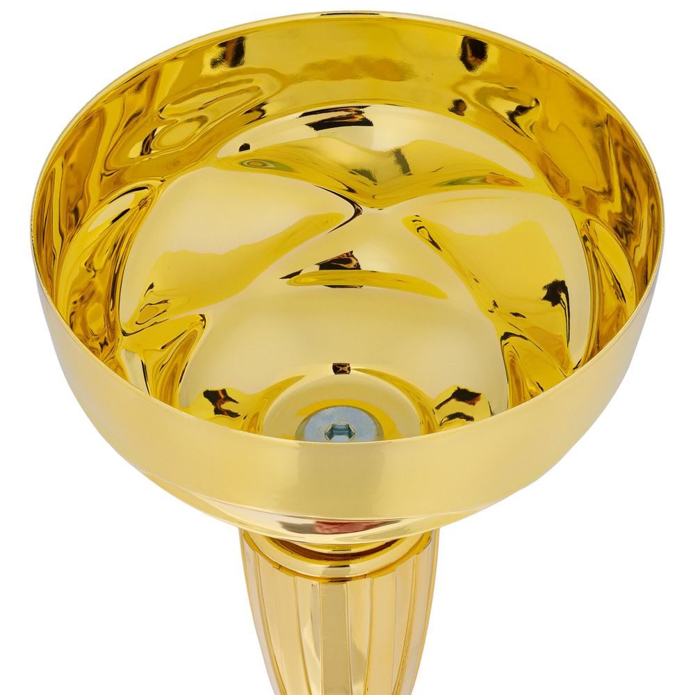 Кубок Kudos, большой — пример нанесения логотипа (сделано в России) | Print Logo