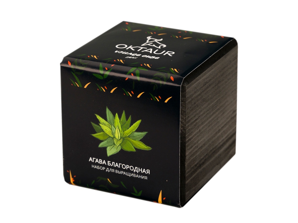 Набор для выращивания Small village cube Агава Благородная с логотипом OKTAUR | Print Logo