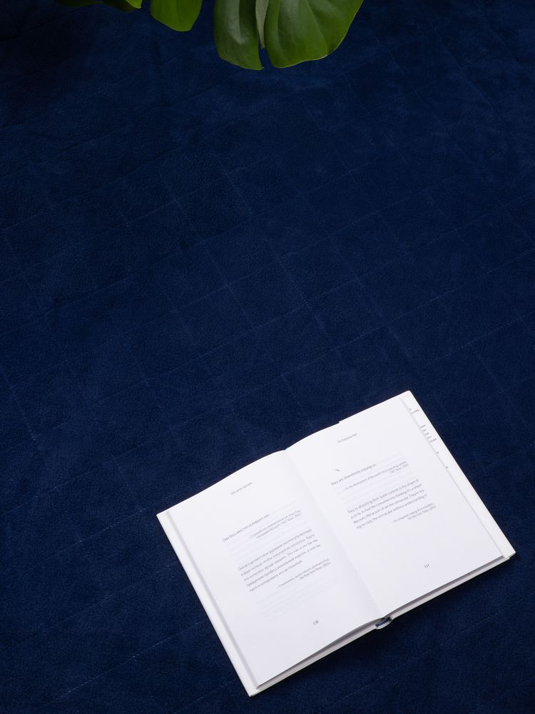 Плед для пикника Soft & Dry 2